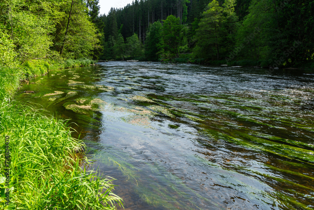 River Rain Regen in the Bavarian Forest River Rain Regen in the Bavarian Forest