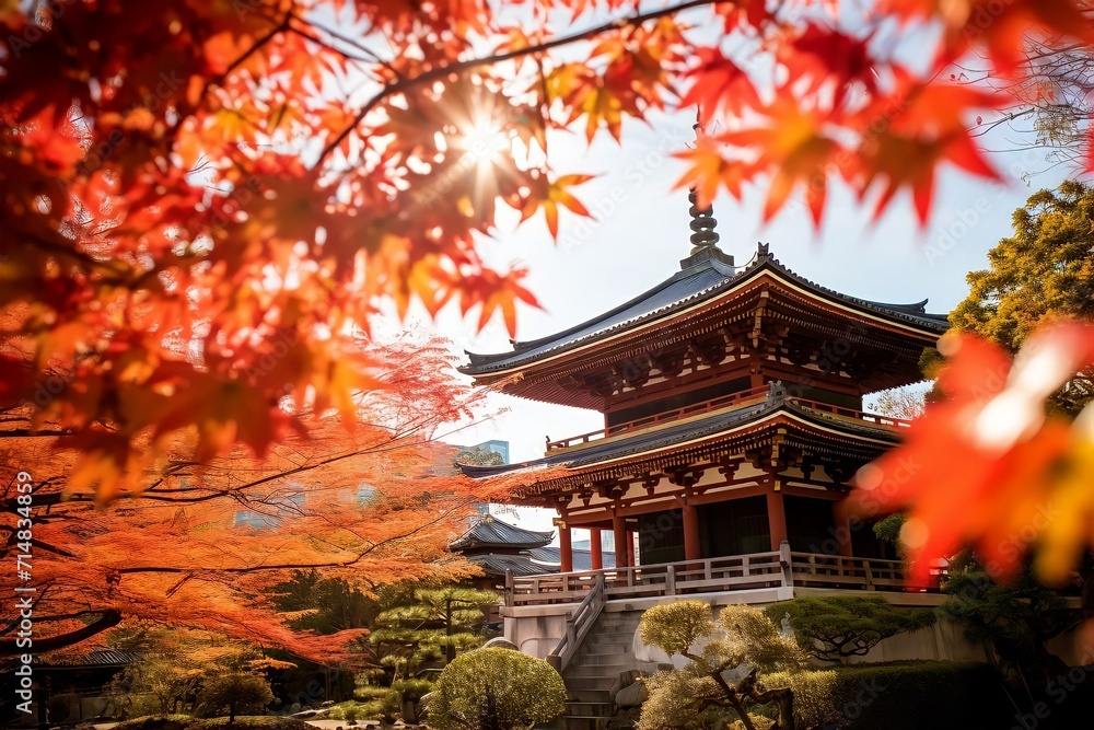 Obraz premium Beauty architecture Japanese temple 