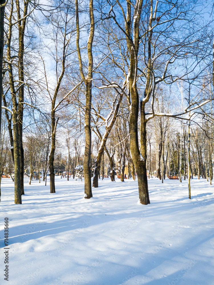 Landscape shot of the winter village. Season Landscape shot of the winter village. Season