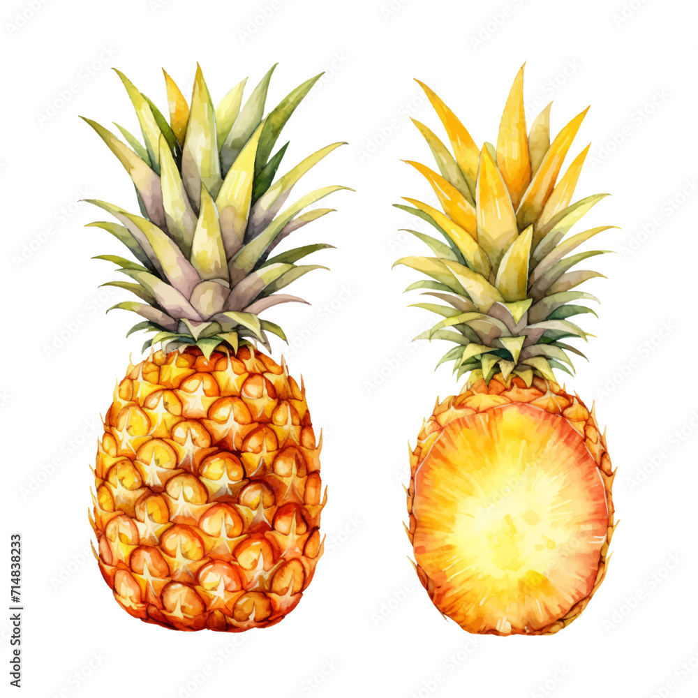 watercolor painting of pineapple four collection isolated watercolor painting of pineapple four collection isolated