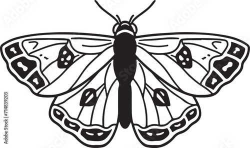 Almond moth illustration