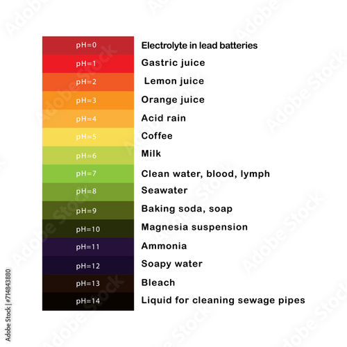 pH scale.  Potentia Hydrogenii liquids with examples. Stock vector