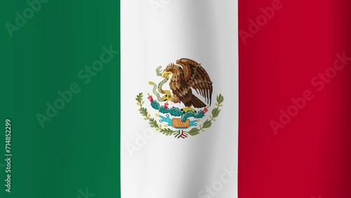 メキシコの国旗 photo