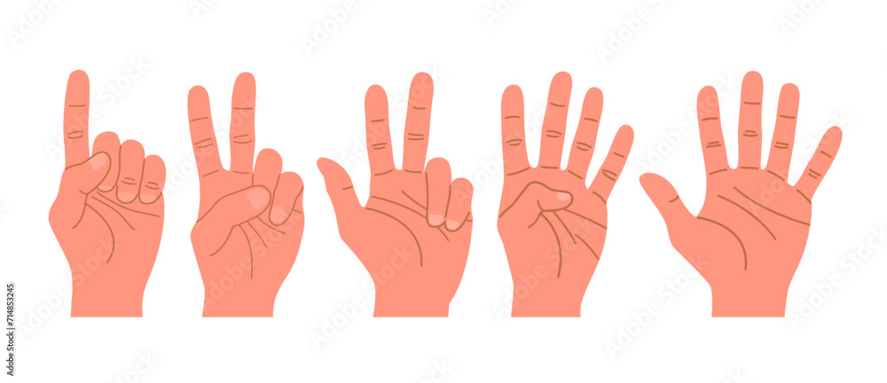 Set of hands with fingers gestures. Human hands count with fingers one, two, three, four and five. Flat vector illustration isolated on white background. Set of hands with fingers gestures. Human hands count with fingers one, two, three, four and five. Flat vector illustration isolated on white background.