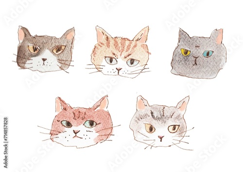 ドローイング、猫、イラスト、デザイン、クリップアート、