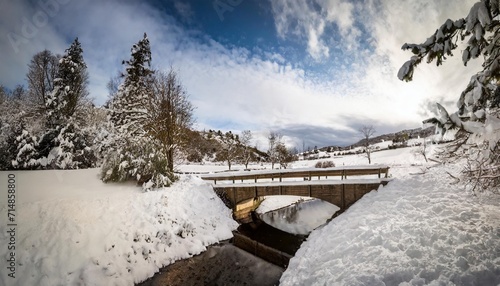 little bridge and snow covered landscape