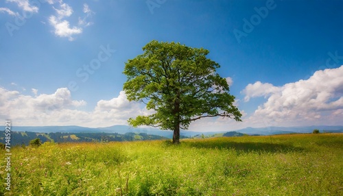 fantasy landscape with a lonely tree