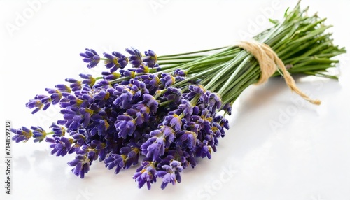 3d rendering of vlavender isolated