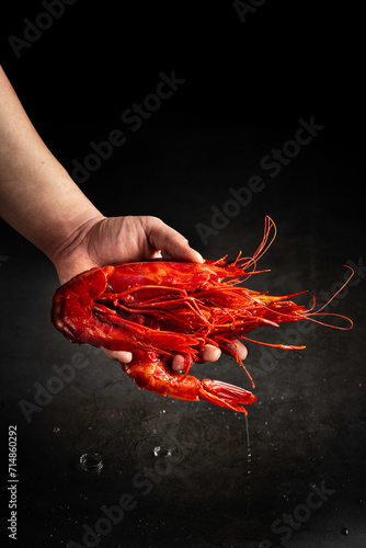 Hand holding Carabineros Shrimps, Red shrimps, Scarlet shrimps, Cardinal Prawns