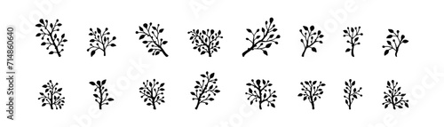 Set of organic minimalist silhouette summer and spring branches with leaves. Simple flower logo design element. Elegant floral twig decoration. Botanical simple vector illustration. Plant icon set