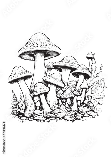 Mushrooms vector doodle illustration, coloring page for adults