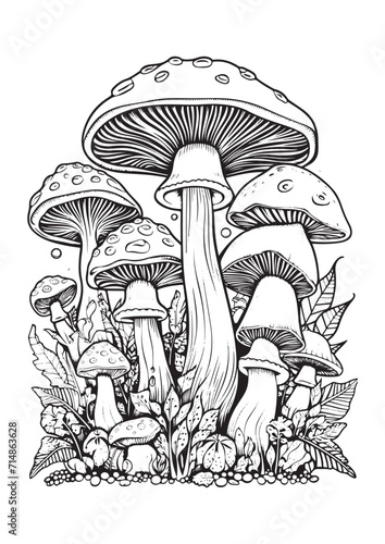 Mushrooms vector doodle illustration, coloring page for adults