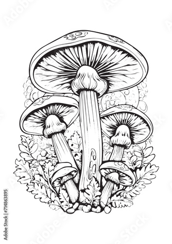 Mushrooms vector doodle illustration, coloring page for adults