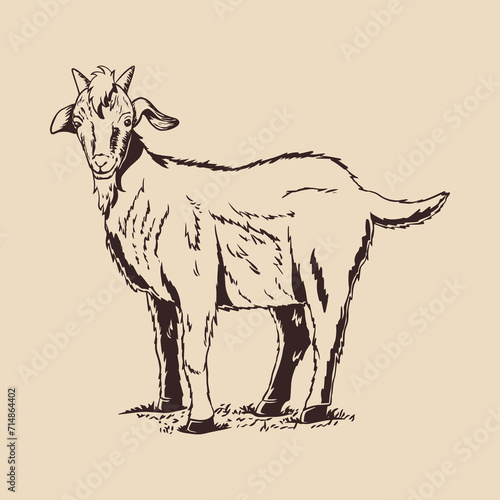 Goat outline vector with hand-drawn style