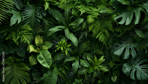 A lush tapestry of tropical leaves in various shapes and shades of green, creating a vibrant and textured natural pattern.