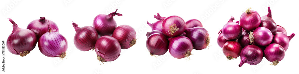 Collection of purple onions isolated on transparent or white background