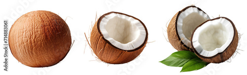 Set of raw coconuts isolated on transparent or white background