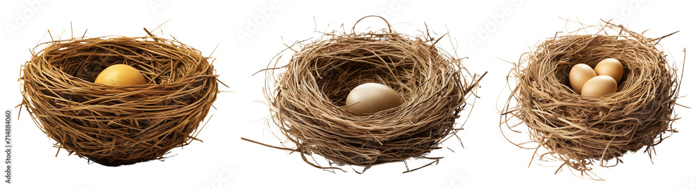 Collection of nests isolated on transparent or white background - obrazy, fototapety, plakaty 