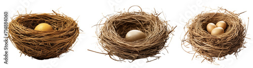 Collection of nests isolated on transparent or white background photo