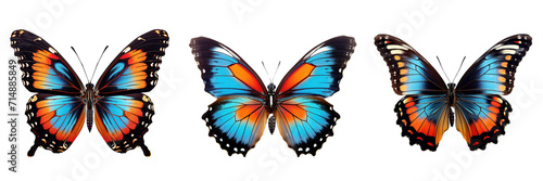 Collection of butterflies isolated on transparent or white background © Luckygraphics