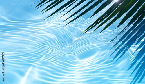 palm leaf and shadow on abstract transparent blue water wave.