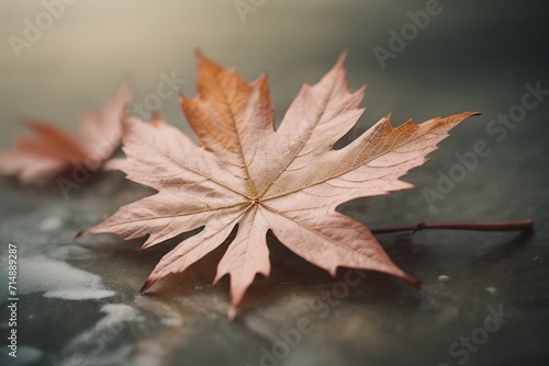 Monochromatic Marvel Generative AI's High-Contrast Autumn Botanical Leaf Masterpiece