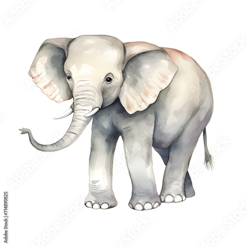 Elephant Cartoon Walking on transparent Background watercolor clip art