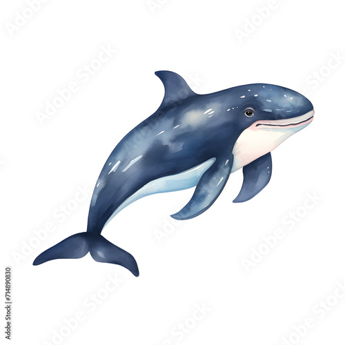 whale Jumping watercolor clip art in Isolation on a transparent Background of a Cartoon Marine Mammal in Blue Water