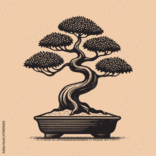 Bonsai tree. Miniature plant in a pot. Beautiful retro engraving illustration. Black icon, logo, label. isolated element.
