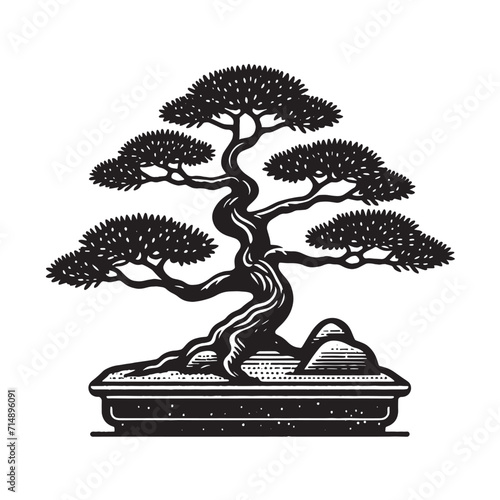 Bonsai tree. Miniature plant in a pot. Beautiful retro engraving illustration. Black icon, logo, label. isolated element.