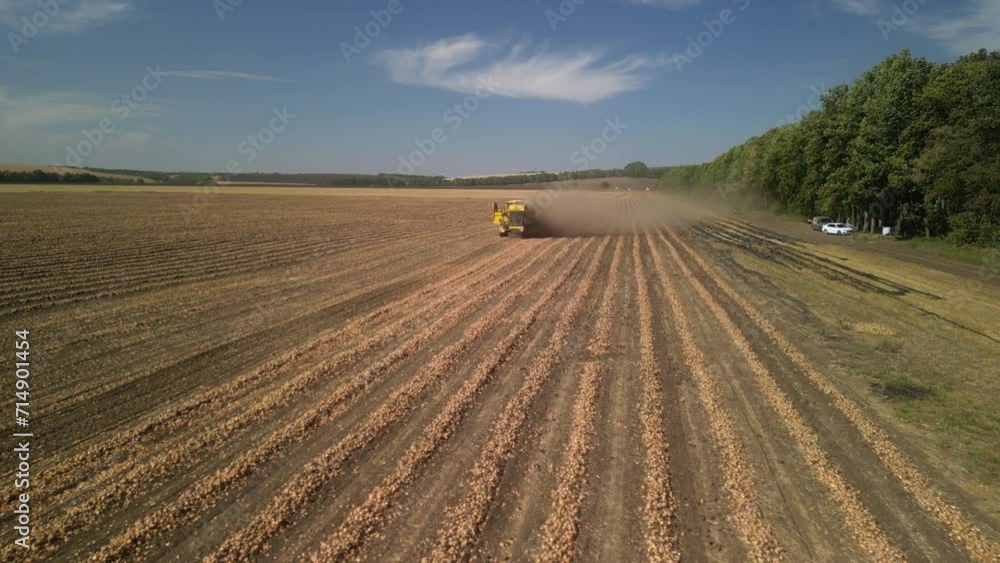 Onion harvest by tractor and harvester Onion harvest by tractor and harvester