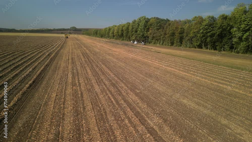 Onion harvest by tractor and harvester Onion harvest by tractor and harvester