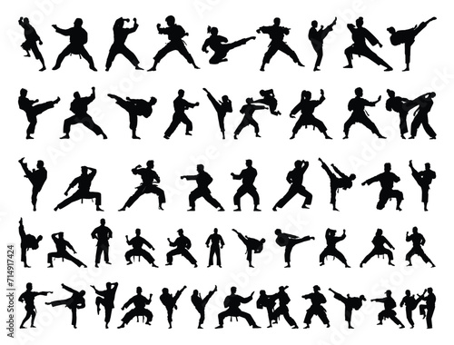 Karate silhouette vector art, Martial Art silhouette