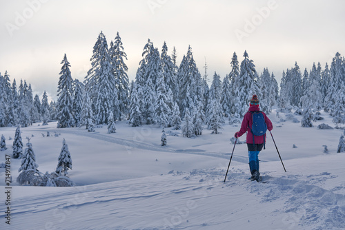 nice and active senior woman hiking with snow shoes in deep powder snow in the Hochhaedrich area of Bregenz Forest in Vorarlberg, Austria 