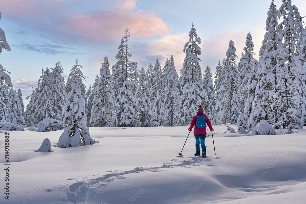 nice and active senior woman hiking with snow shoes in deep powder snow in the  Hochhaedrich area of Bregenz Forest in Vorarlberg, Austria