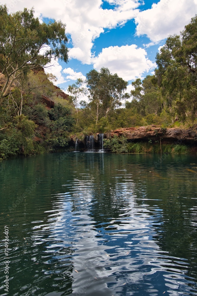 Big trees standing at the beautiful 'fern pool' in Dales Gorge in Karijini National Park in Western Australia. Western Australia trekking adventures. Natural pool for swimming with small waterfalls.