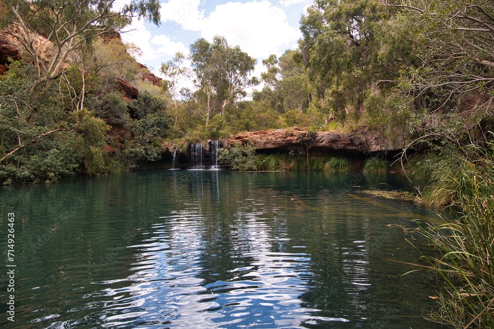 Beautiful 'fern pool' in Dales Gorge in Karijini National Park in Western Australia. Western Australia trekking adventures. Natural pool for swimming with small waterfalls and surrounded by trees.  