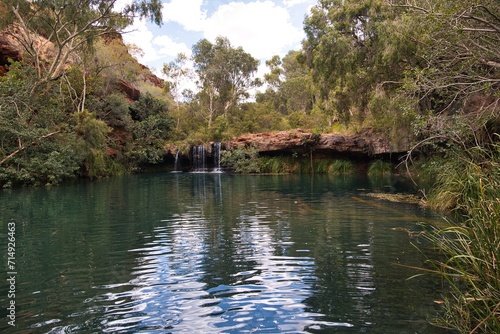 Beautiful 'fern pool' in Dales Gorge in Karijini National Park in Western Australia. Western Australia trekking adventures. Natural pool for swimming with small waterfalls and surrounded by trees. 