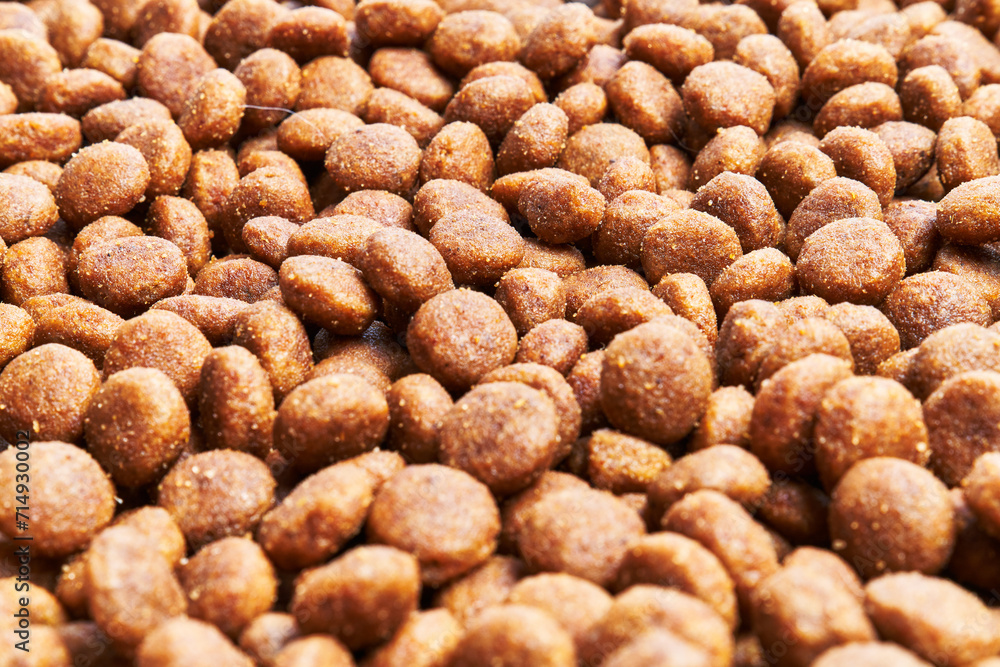 Fototapeta premium Delicious group of dog food balls texture