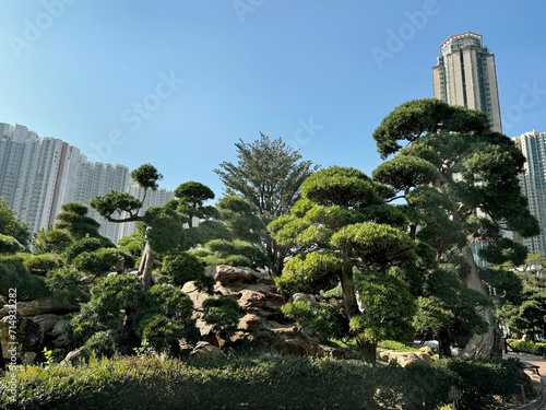 Nan Lian Garden, a truly hidden gem in Diamond Hill area, Kowloon, Hong Kong. A public garden with beautiful trees, bonsai, ponds, pagoda, set as a gateway to Chi Lin.