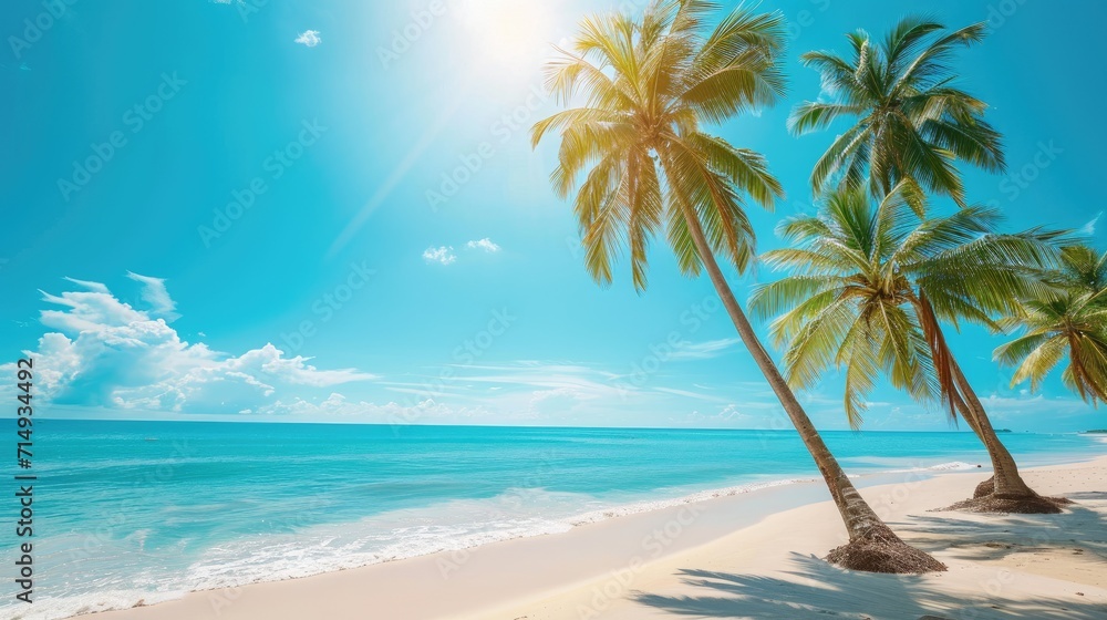 Coconut palm trees along the beach with blue sky background in sunny day