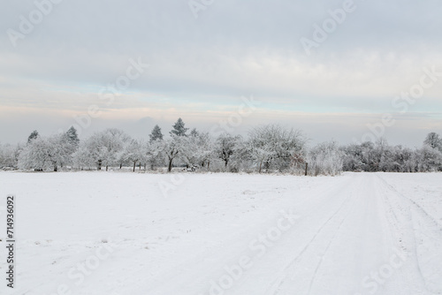 Landschaft nahe Grüningen in Hessen, an einem Wintertag im Januar 204
