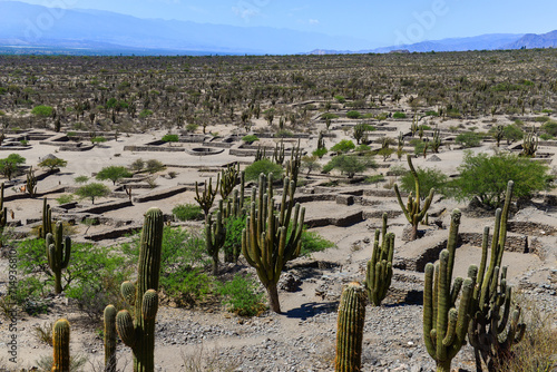 The ruins of Quilmes, an archaeological site in the Valles Calchaquíes, Tucumán Province, Argentina.