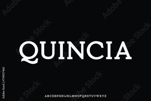 Clean classic beautiful serif alphabet display font vector