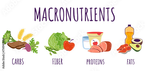Food protein carbohydrate fiber nutrition macronutrients infographic concept. Vector graphic design illustration