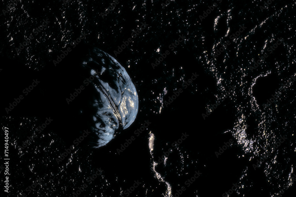 Fototapeta premium still life with walnuts and other