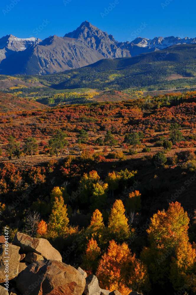 Φωτογραφία Late afternoon light on the fall colors up the slopes of the Sneffels Range of the San Juan mountains, as seen from the Dallas Divide, near Ridgway, Colorado, USA