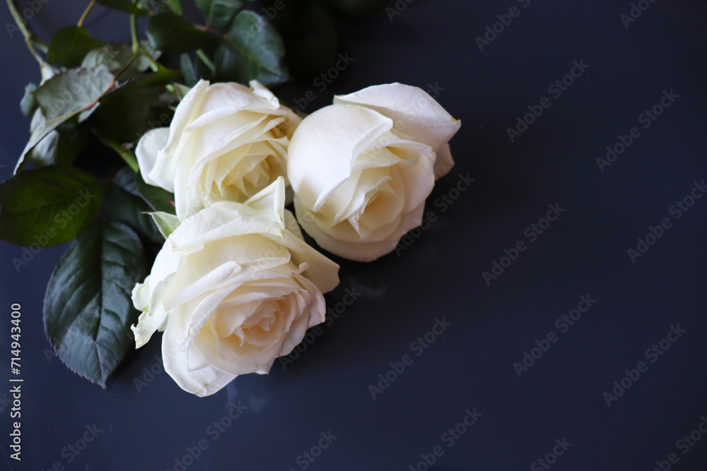 Fototapeta premium greeting card design. bouquet of pink roses and white blank for text