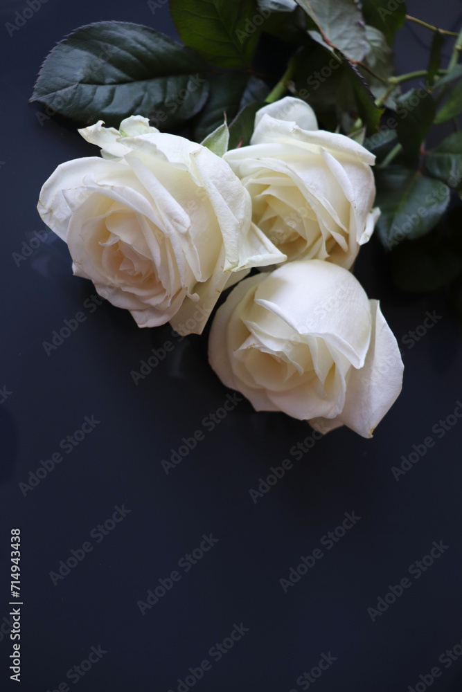 greeting card design. bouquet of pink roses and white blank for text greeting card design. bouquet of pink roses and white blank for text