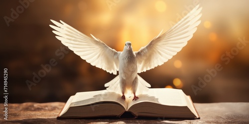 The winged dove on the Bible embodies the Holy Spirit of the New Testament photo